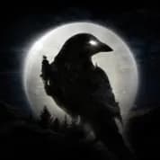 Night Crows - Drop Link banner